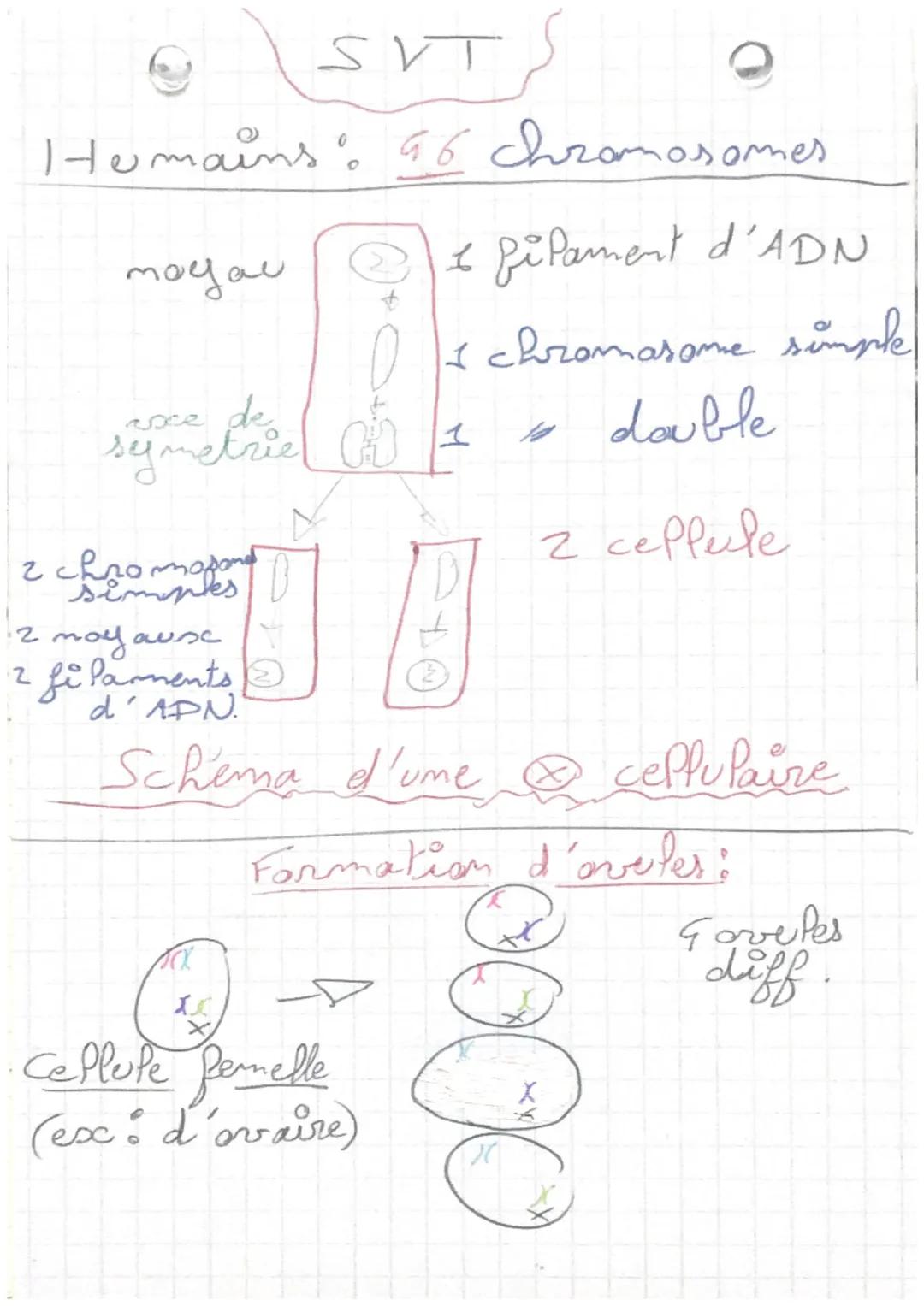 - 
• SVT

calcul IMC:
JMC = masse ÷ (raille x taille)
(Inc = indice de masse corporel)
Nanger 'equibré :
- manger autant d'energie que modre