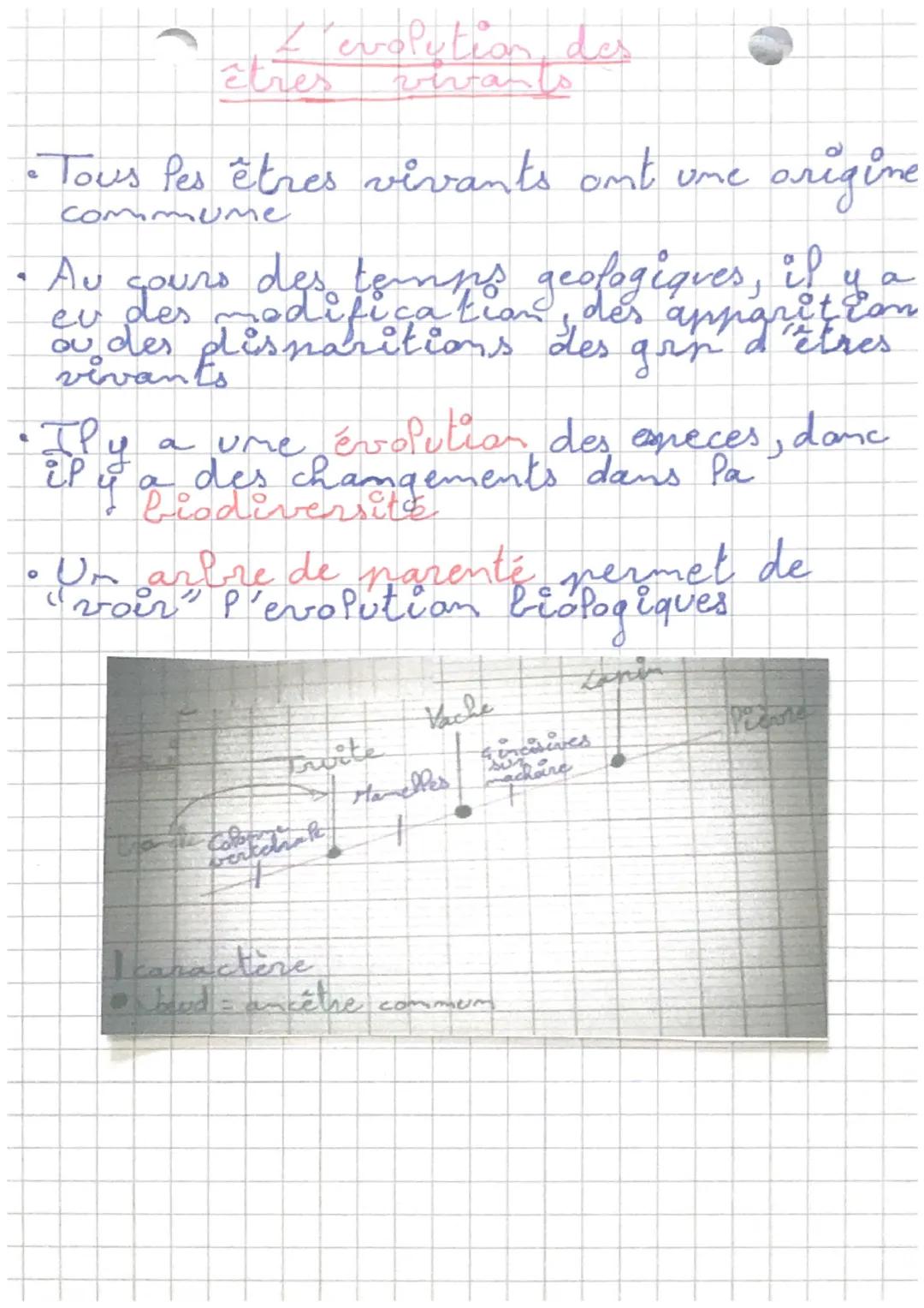 - 
• SVT

calcul IMC:
JMC = masse ÷ (raille x taille)
(Inc = indice de masse corporel)
Nanger 'equibré :
- manger autant d'energie que modre