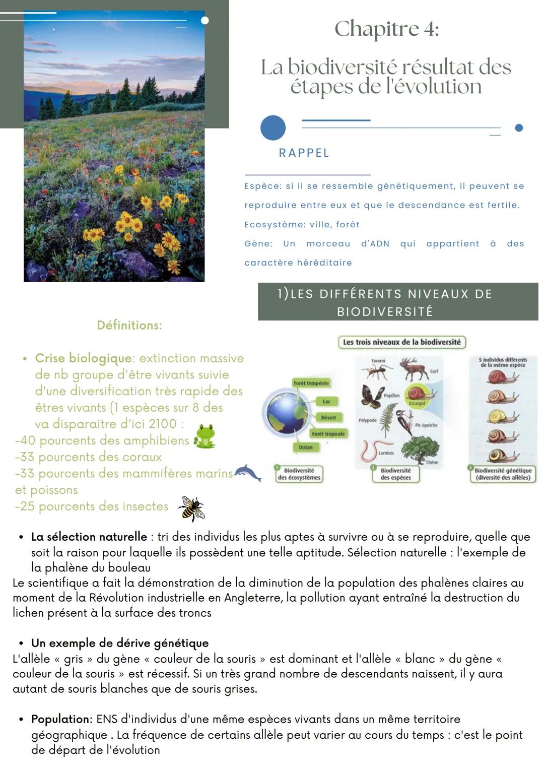 Chapitre 4:

La biodiversité résultat des
étapes de l'évolution

RAPPEL

Espèce: si il se ressemble génétiquement, il peuvent se
reproduire 