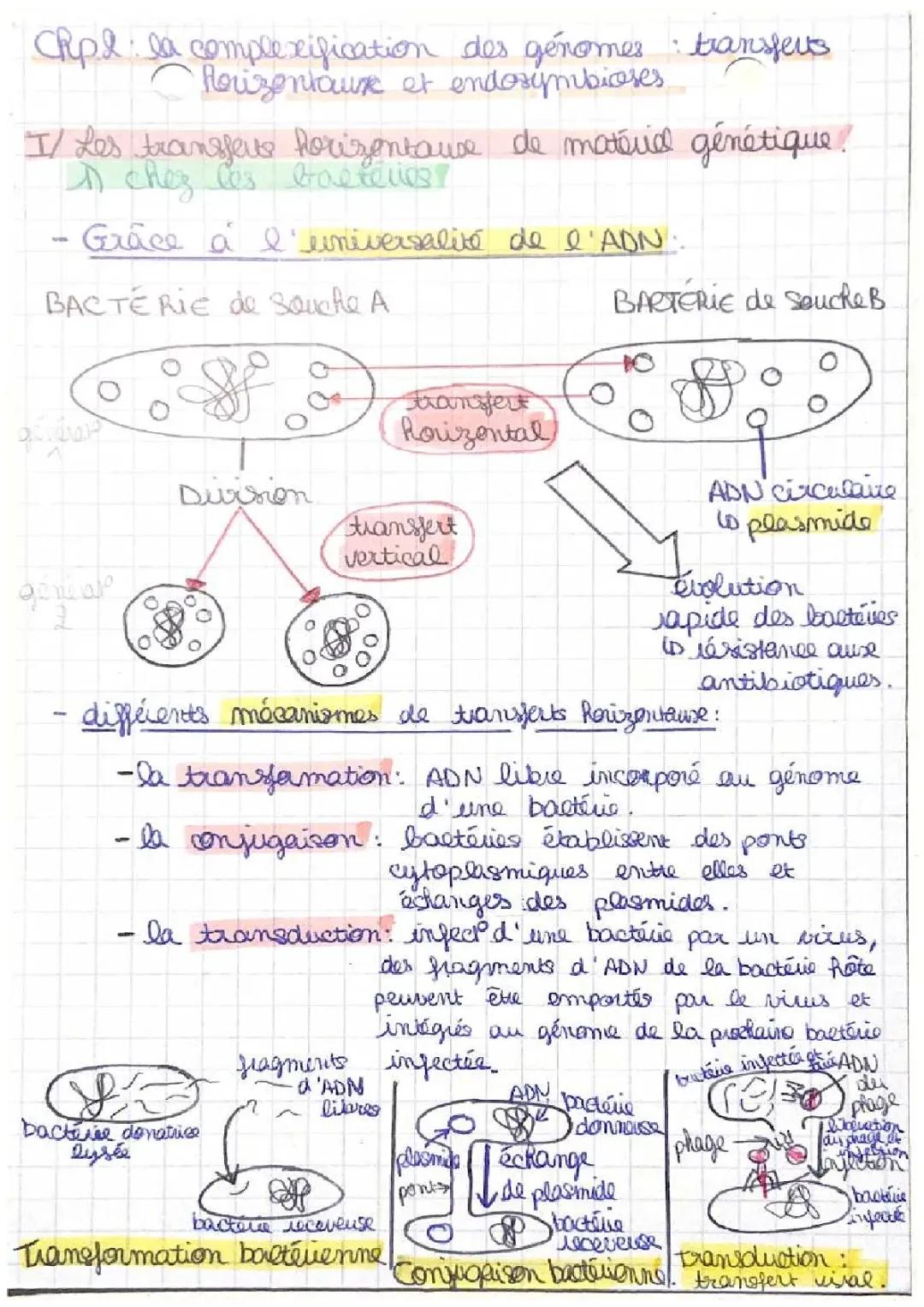 Découvre la Complexification des Génomes : Transferts Horizontaux et Endosymbioses