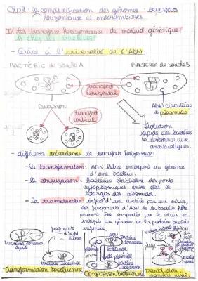 Know La complexification des génomes: transferts horizontaux et endosymbioses  thumbnail