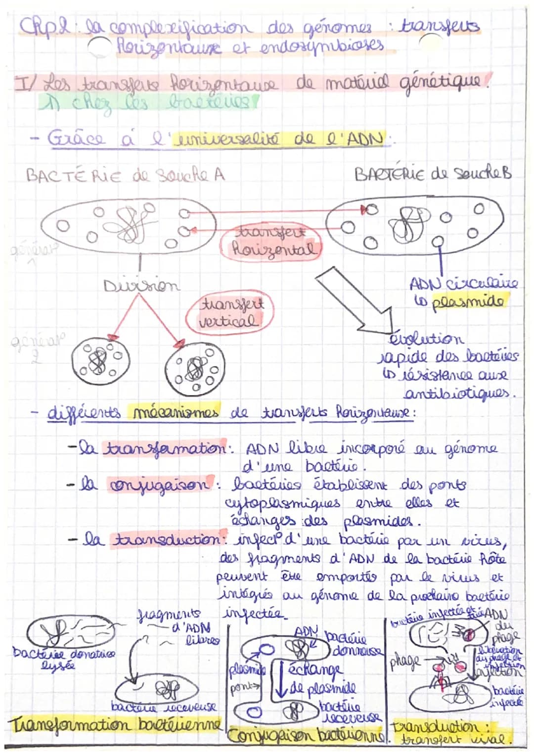 CRpl la complexification
générale
des génomes transferts
horizontaux et endosymbioses.
I/ Les transferts horizontause de matériel génétique
