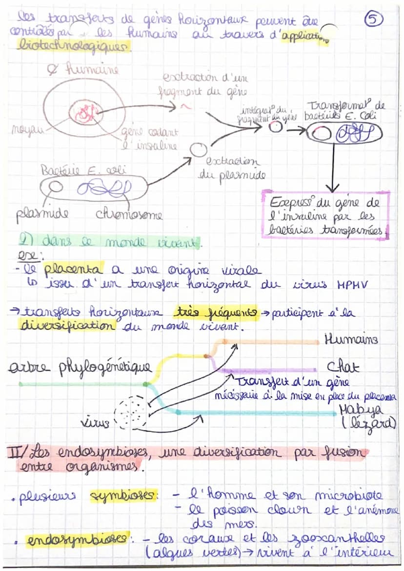 CRpl la complexification
générale
des génomes transferts
horizontaux et endosymbioses.
I/ Les transferts horizontause de matériel génétique
