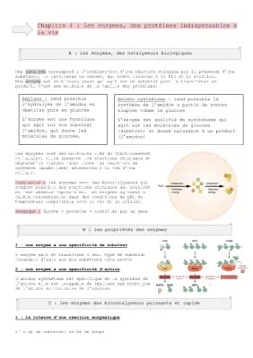 Know 4- les enzymes des protéines indispensables à la vie  thumbnail