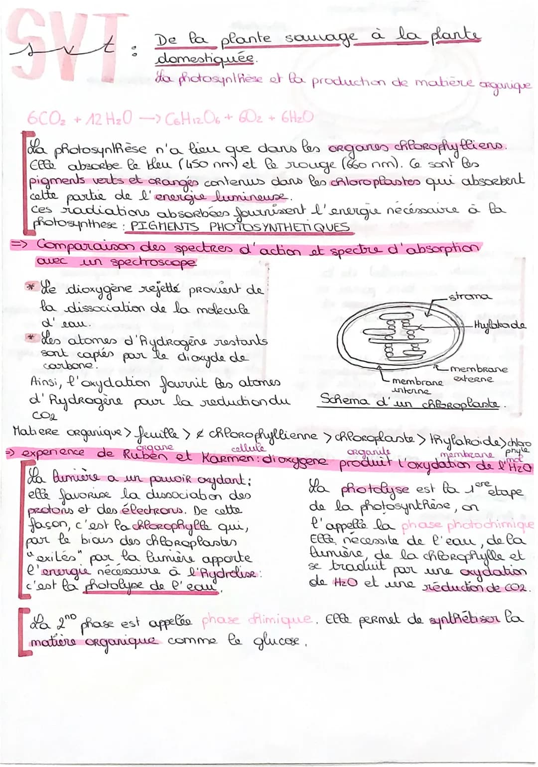 Gift
De la plante sauvage à la plante
domestiquée.
da photosynthèse et la production de matière
6CO₂ +12 H₂O -> CGH12O6 + 60₂ + 6H₂O
que
La 