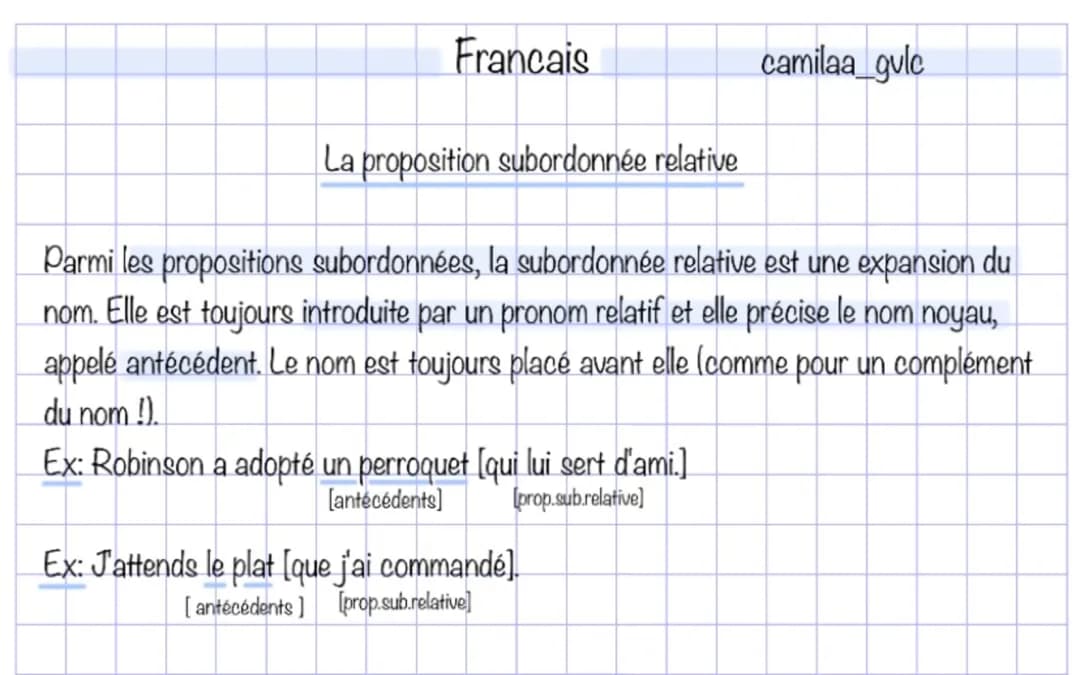 subordonnée relative 