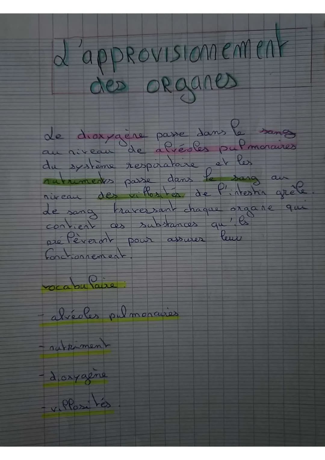 L'approvisionnement des organes en dioxygène pour les élèves de 5ème