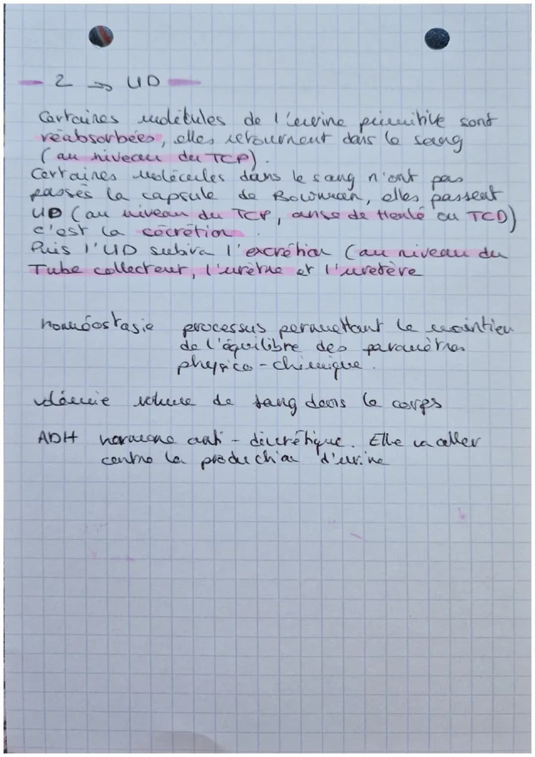Biologie
EXCRETION URINAIRE
・glande surrénales
rein gauche
rein droit
uretère
aorte abdominate
veine cave inférieure.
-vessie
uretère
Schéma