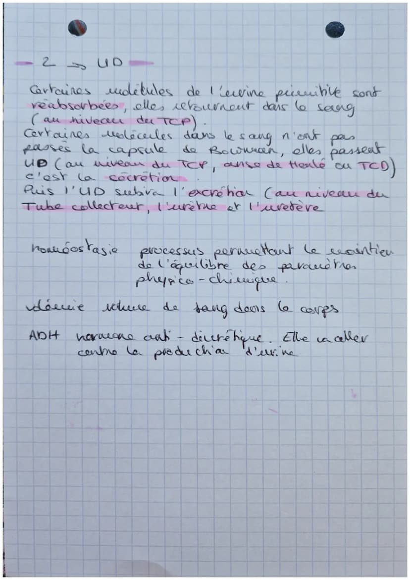 Biologie
EXCRETION URINAIRE
・glande surrénales
rein gauche
rein droit
uretère
aorte abdominate
veine cave inférieure.
-vessie
uretère
Schéma