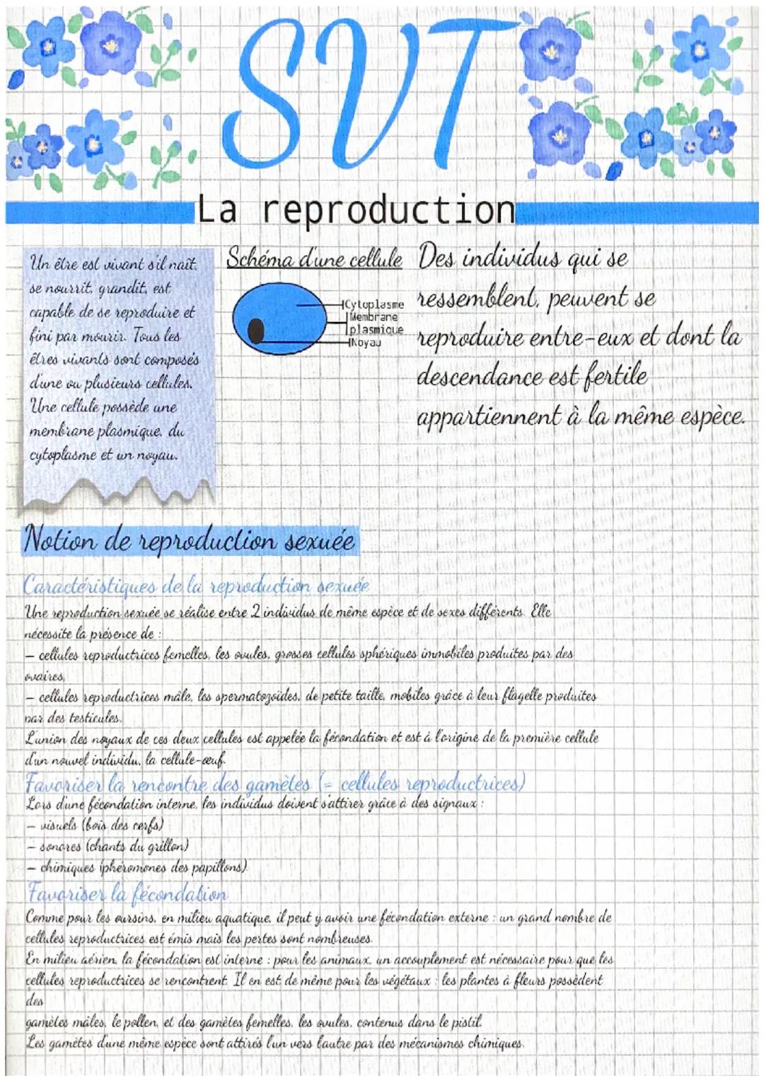 **SVT
Un élre est vivant s'il naît.
se nourrit, grandit, est
capable de se reproduire et
fini par mourir. Tous les
êtres vivants sont compos