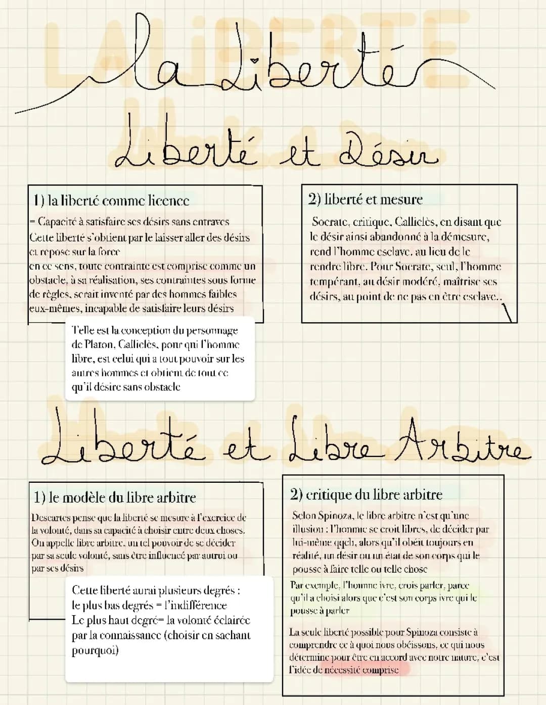 Découvre la Liberté et le Libre Arbitre avec Platon, Aristote, Kant et Spinoza