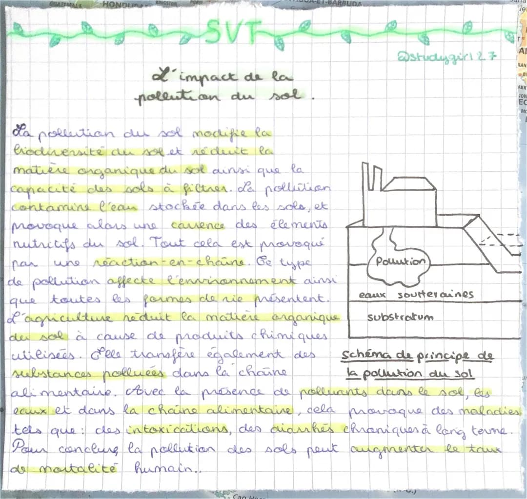 La Pollution du Sol : Causes, Conséquences et Solutions