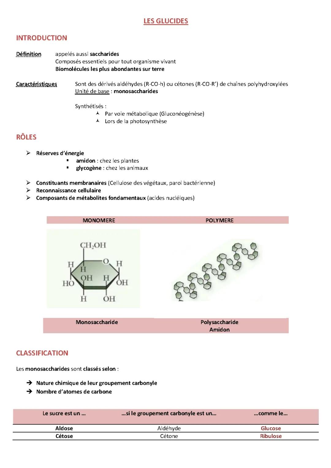 Tout savoir sur les Polysaccharides : définition, bienfaits et dangers