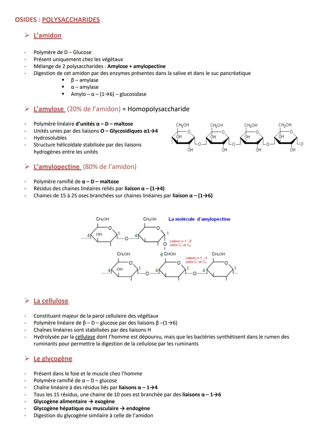INTRODUCTION
Définition appelés aussi saccharides
Caractéristiques
RÔLES
Composés essentiels pour tout organisme vivant
Biomolécules les plu