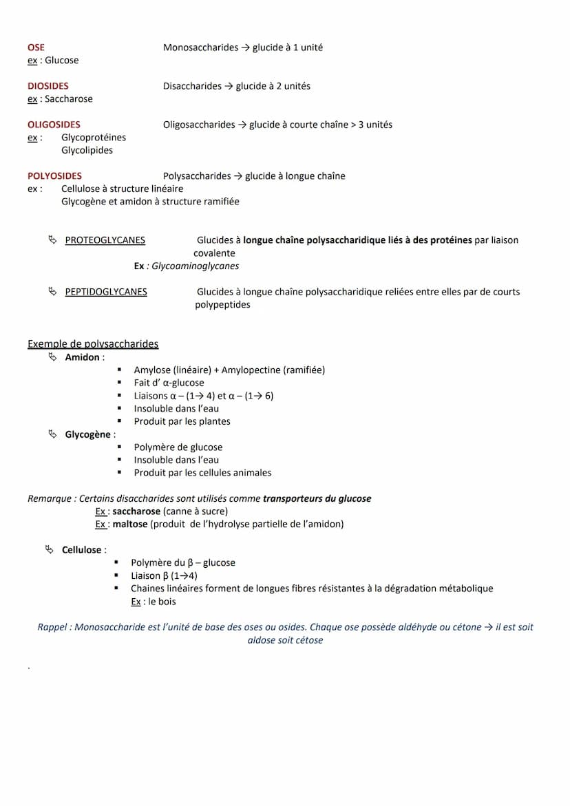 INTRODUCTION
Définition appelés aussi saccharides
Caractéristiques
RÔLES
Composés essentiels pour tout organisme vivant
Biomolécules les plu