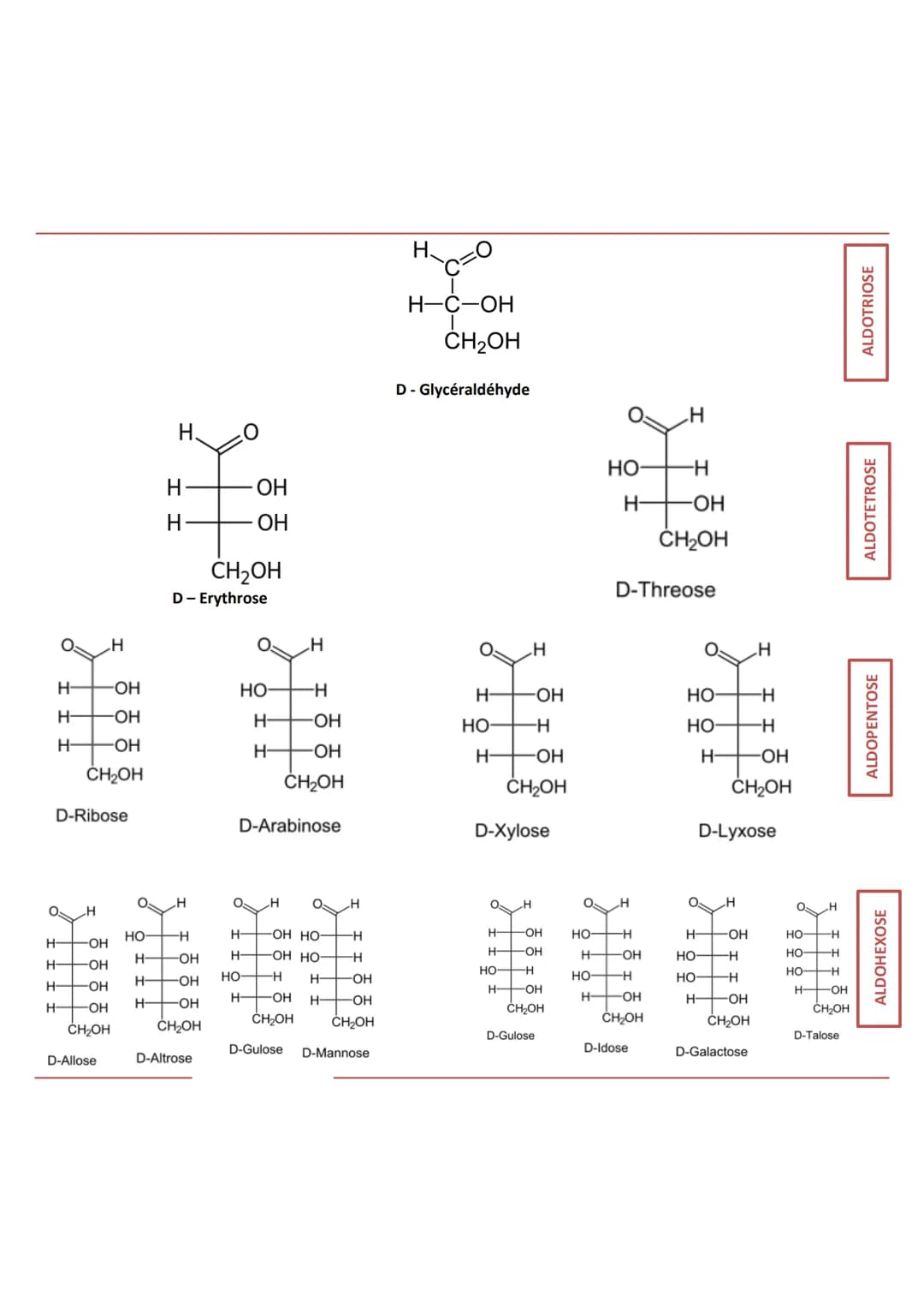 INTRODUCTION
Définition appelés aussi saccharides
Caractéristiques
RÔLES
Composés essentiels pour tout organisme vivant
Biomolécules les plu