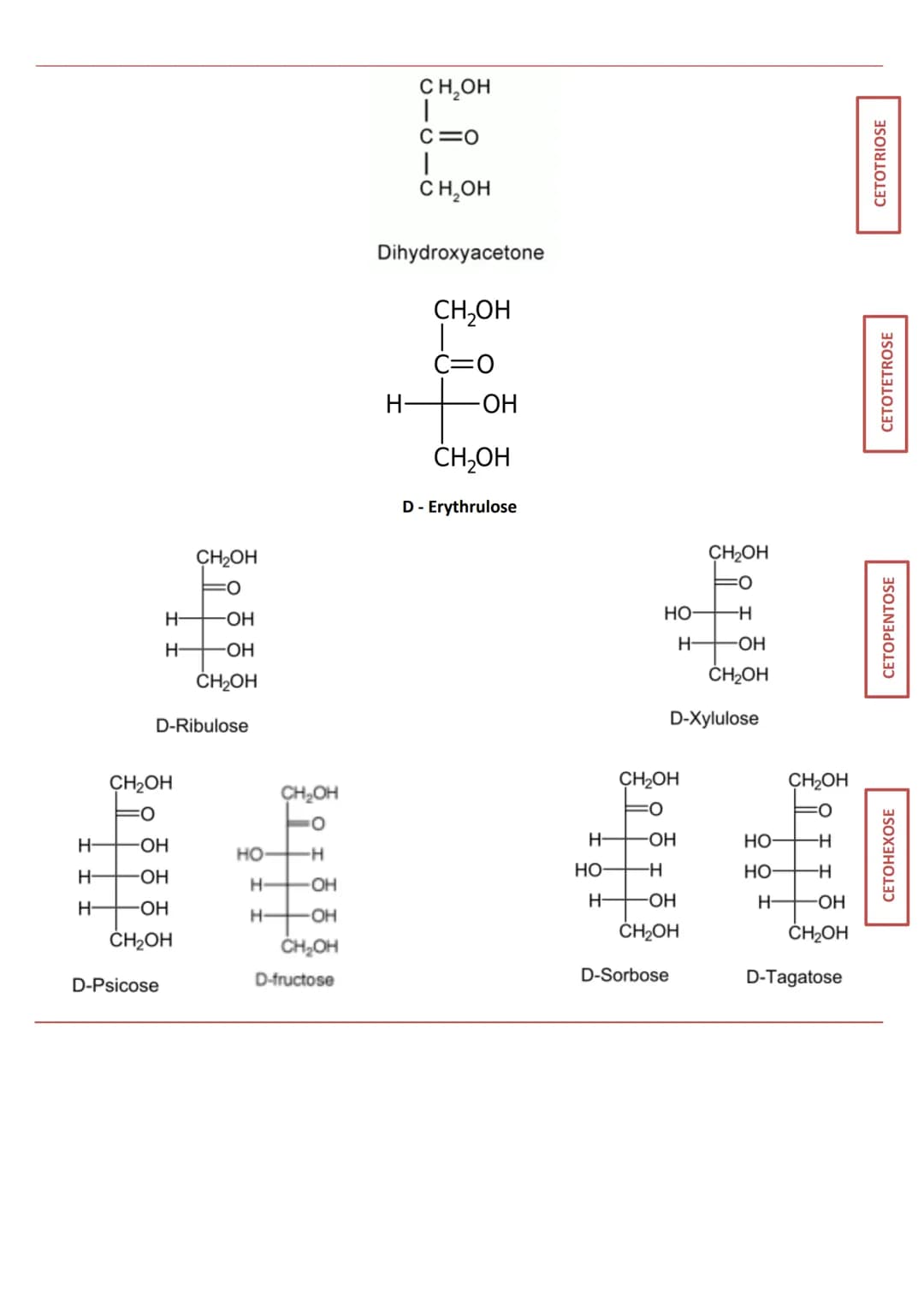 INTRODUCTION
Définition appelés aussi saccharides
Caractéristiques
RÔLES
Composés essentiels pour tout organisme vivant
Biomolécules les plu