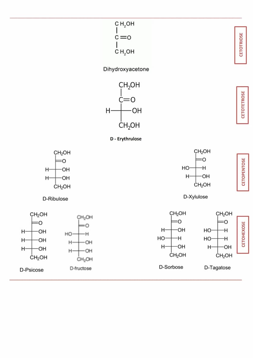 INTRODUCTION
Définition appelés aussi saccharides
Caractéristiques
RÔLES
Composés essentiels pour tout organisme vivant
Biomolécules les plu