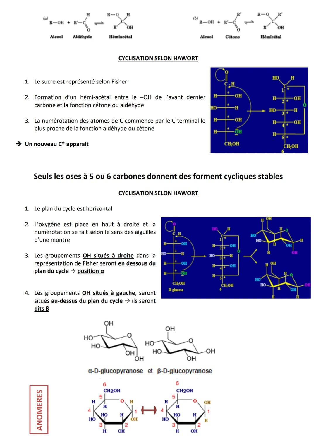 INTRODUCTION
Définition appelés aussi saccharides
Caractéristiques
RÔLES
Composés essentiels pour tout organisme vivant
Biomolécules les plu