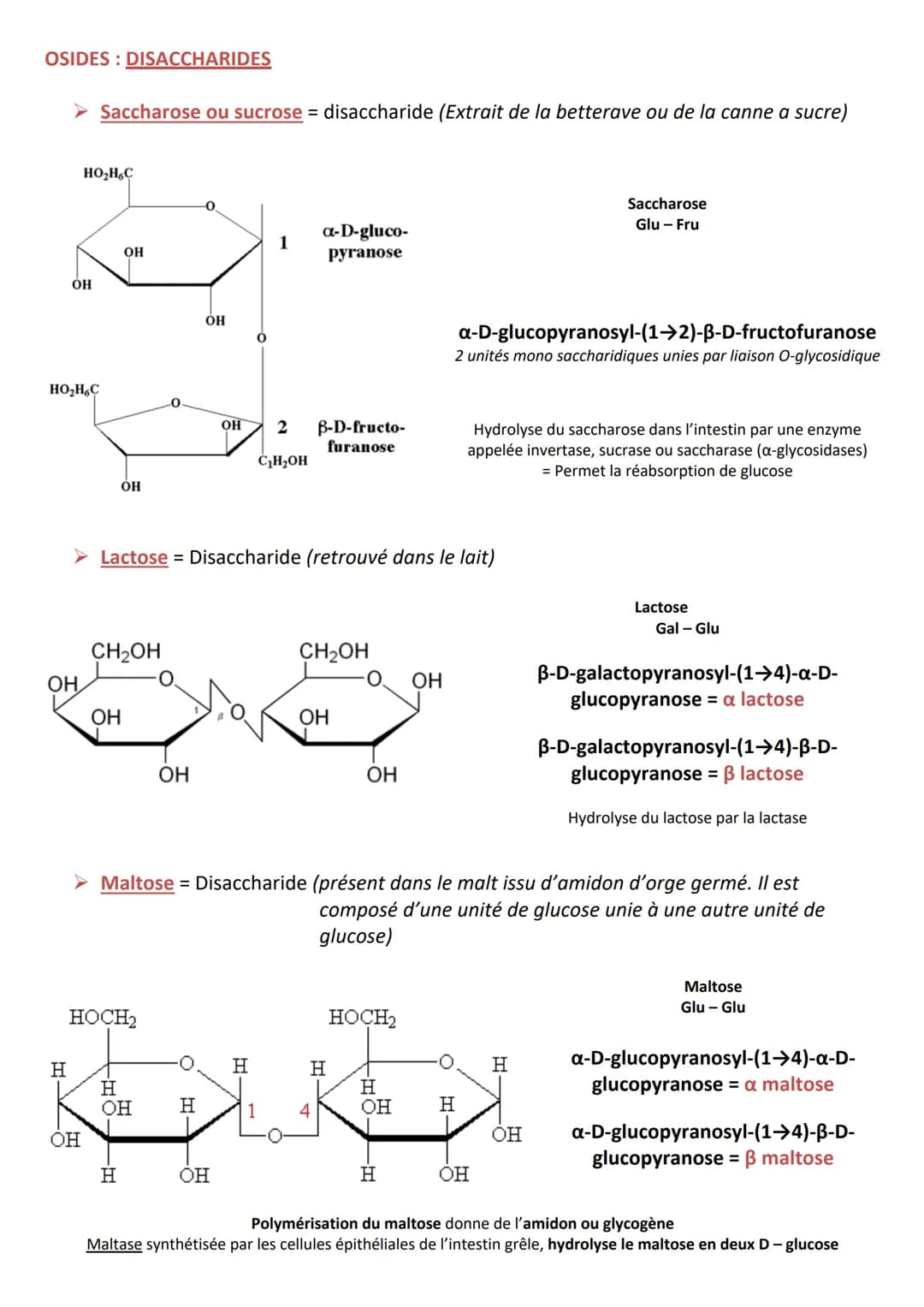 INTRODUCTION
Définition appelés aussi saccharides
Caractéristiques
RÔLES
Composés essentiels pour tout organisme vivant
Biomolécules les plu