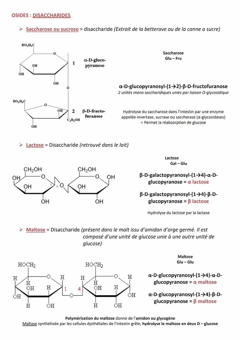 INTRODUCTION
Définition appelés aussi saccharides
Caractéristiques
RÔLES
Composés essentiels pour tout organisme vivant
Biomolécules les plu