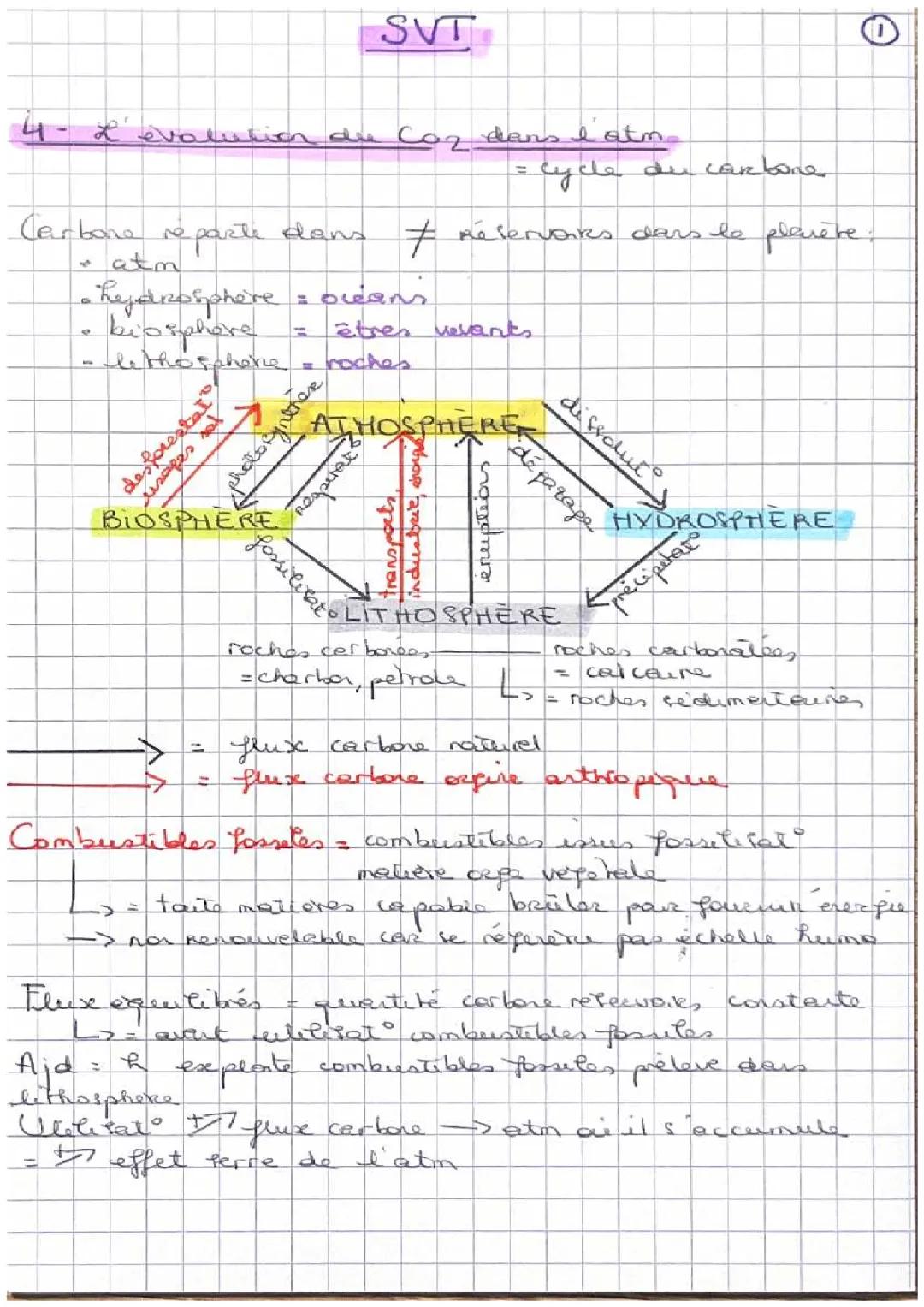 Schéma Simplifié du Cycle du Carbone et Effet de Serre PDF