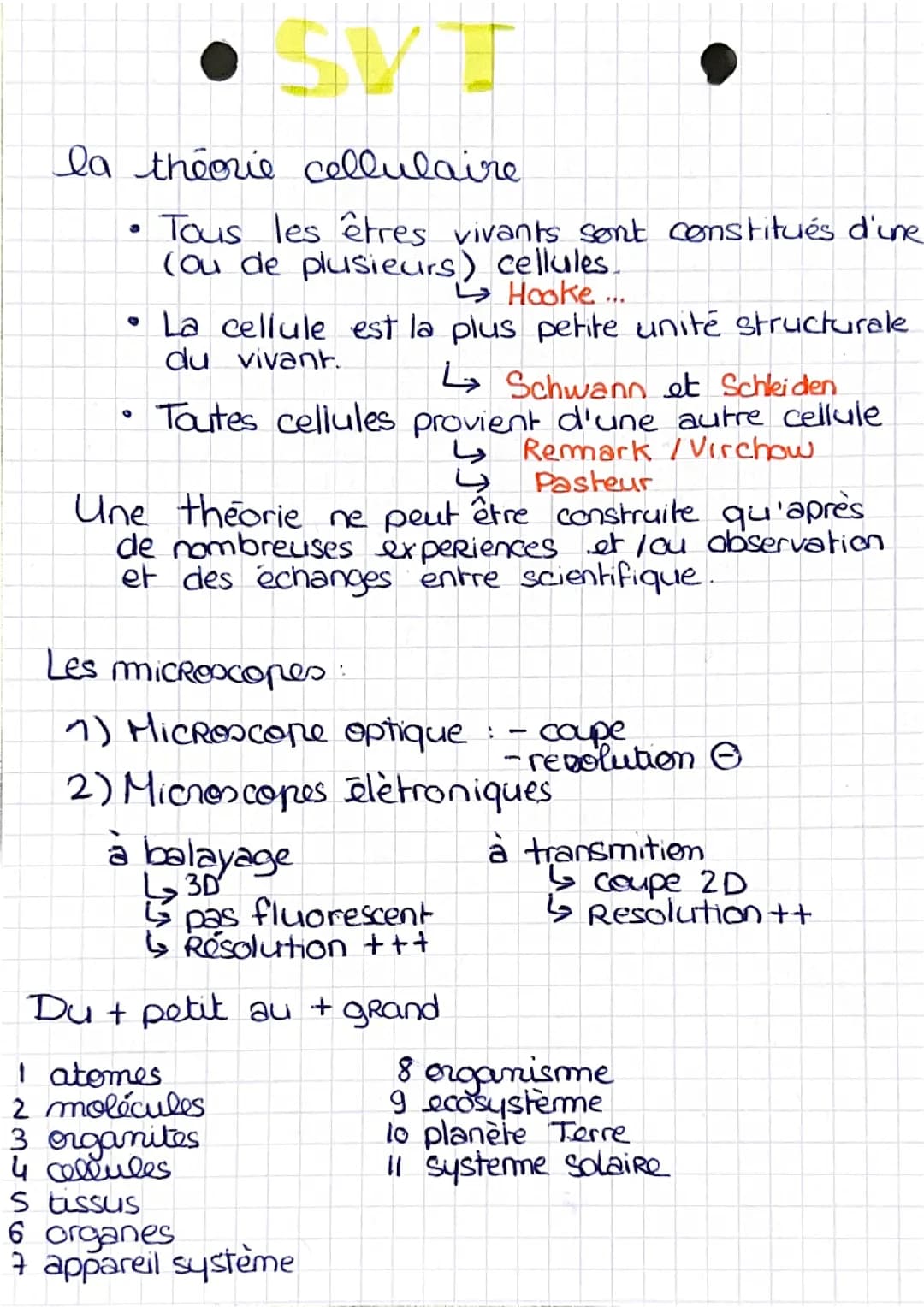  La théorie cellulaire