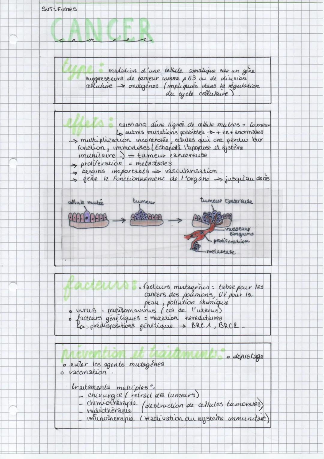 SUT- Fiches
type mutation d'une cellule somatique sur un
gene
ou de division.
suppresseurs de tumeur comme p53
allusive → oncogenes (impliqu