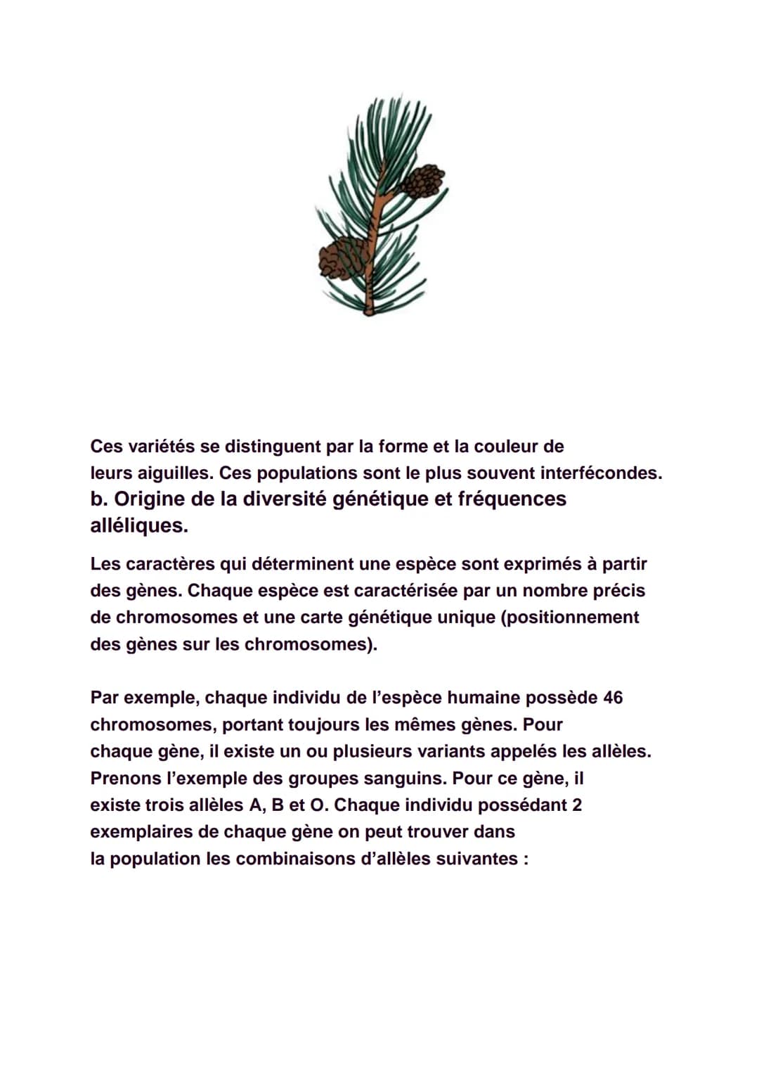 La diversité génétique
Il est facile de constater qu'il existe une
certaine diversité au sein de chaque espèce, qu'elle
soit animale ou végé