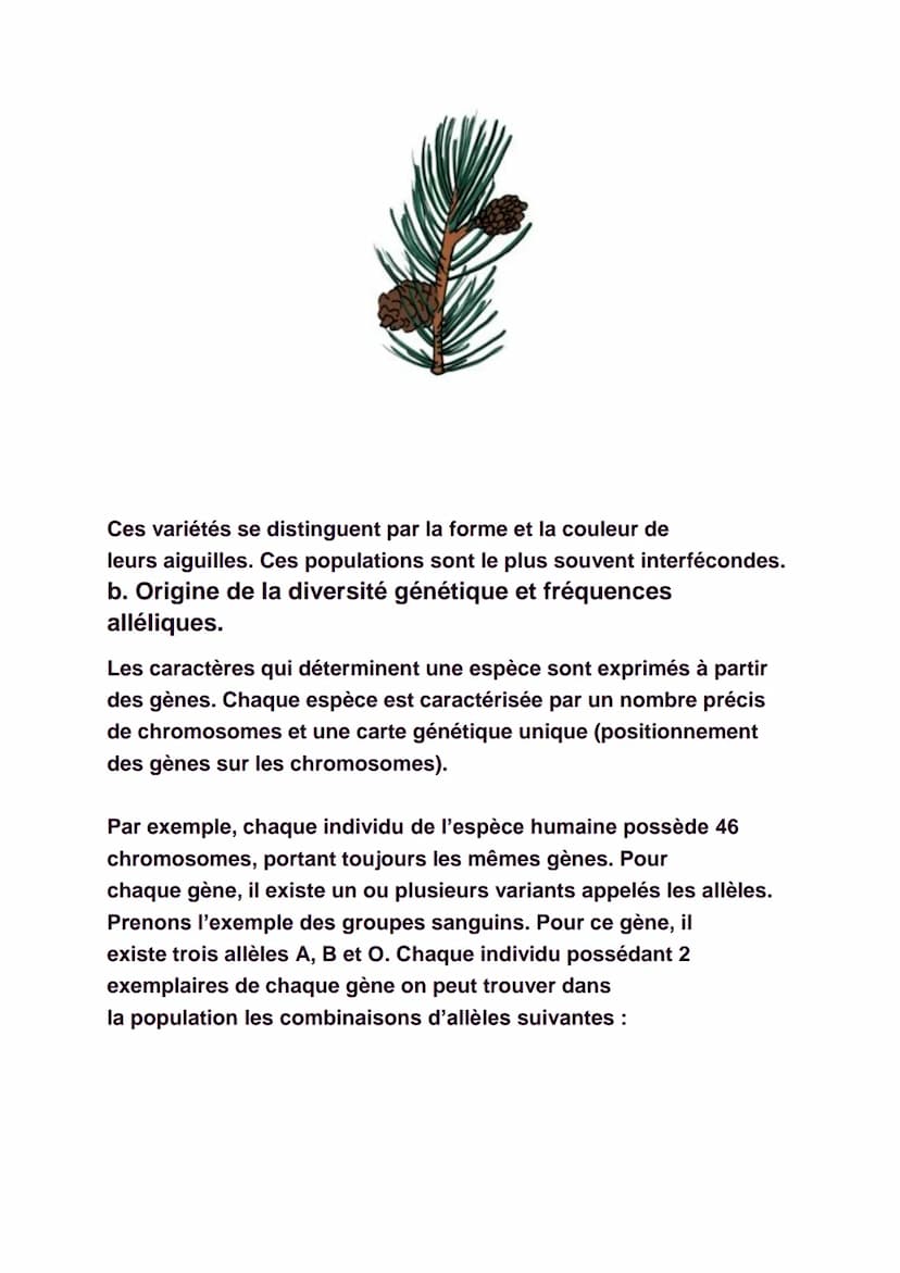 La diversité génétique
Il est facile de constater qu'il existe une
certaine diversité au sein de chaque espèce, qu'elle
soit animale ou végé