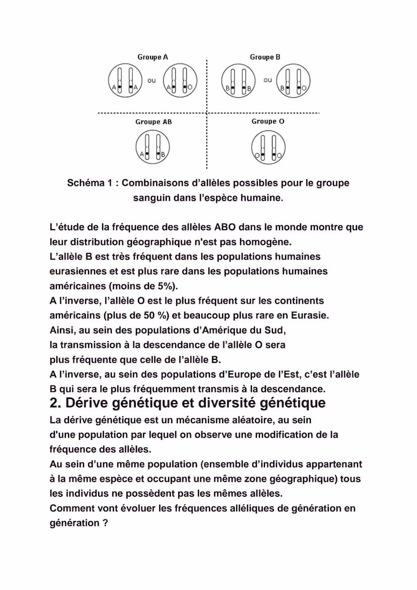 La diversité génétique
Il est facile de constater qu'il existe une
certaine diversité au sein de chaque espèce, qu'elle
soit animale ou végé