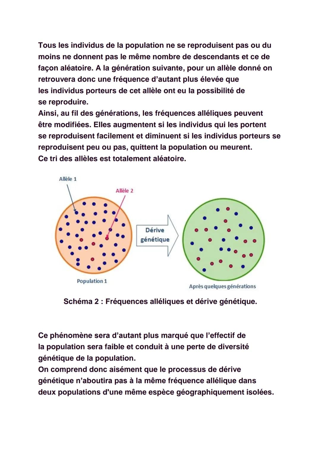 La diversité génétique
Il est facile de constater qu'il existe une
certaine diversité au sein de chaque espèce, qu'elle
soit animale ou végé