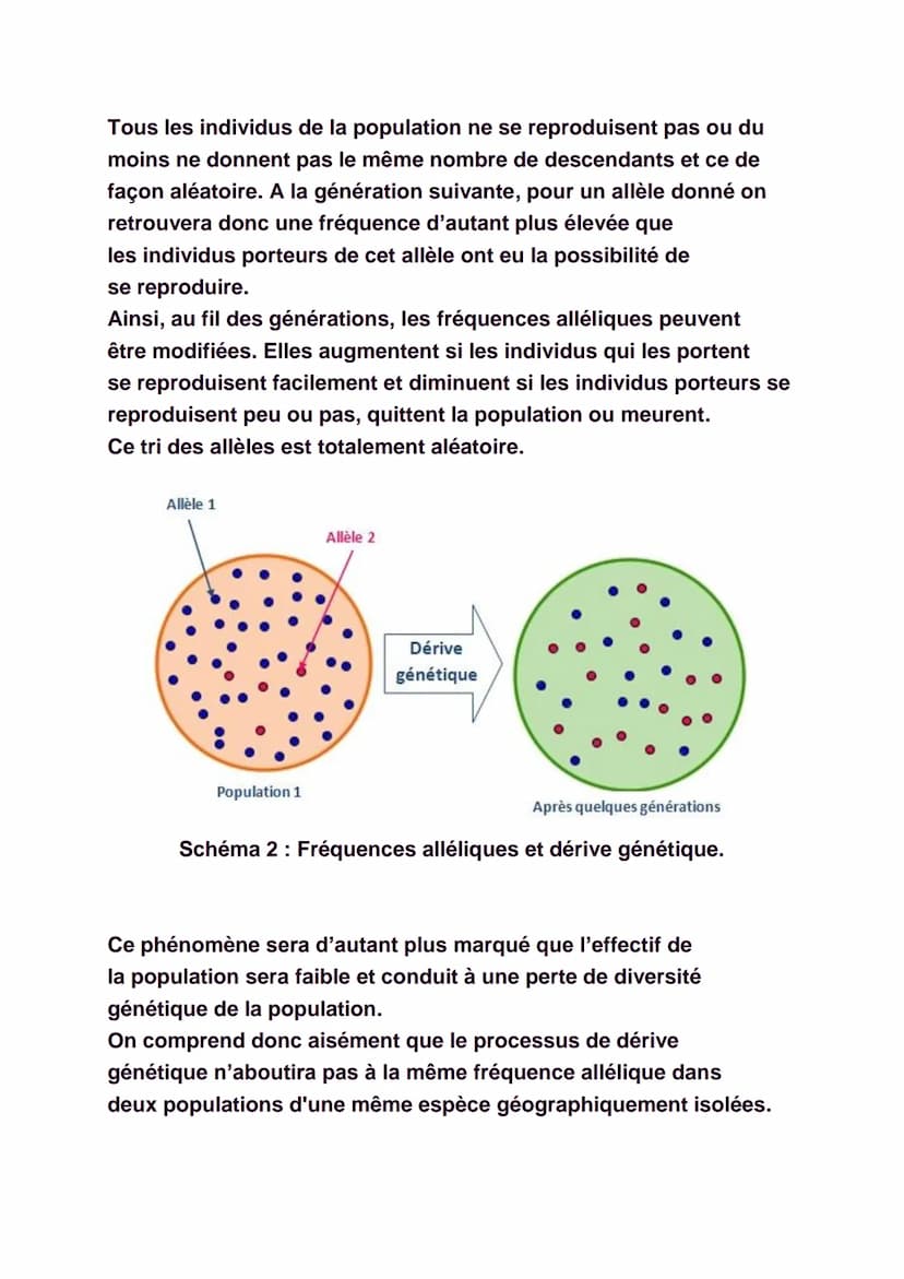 La diversité génétique
Il est facile de constater qu'il existe une
certaine diversité au sein de chaque espèce, qu'elle
soit animale ou végé