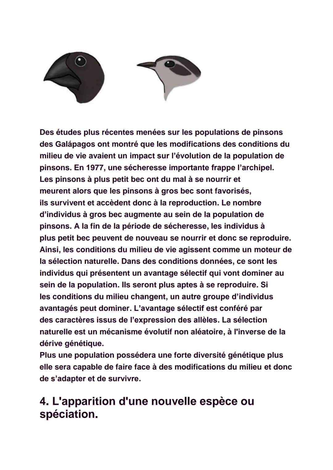 La diversité génétique
Il est facile de constater qu'il existe une
certaine diversité au sein de chaque espèce, qu'elle
soit animale ou végé