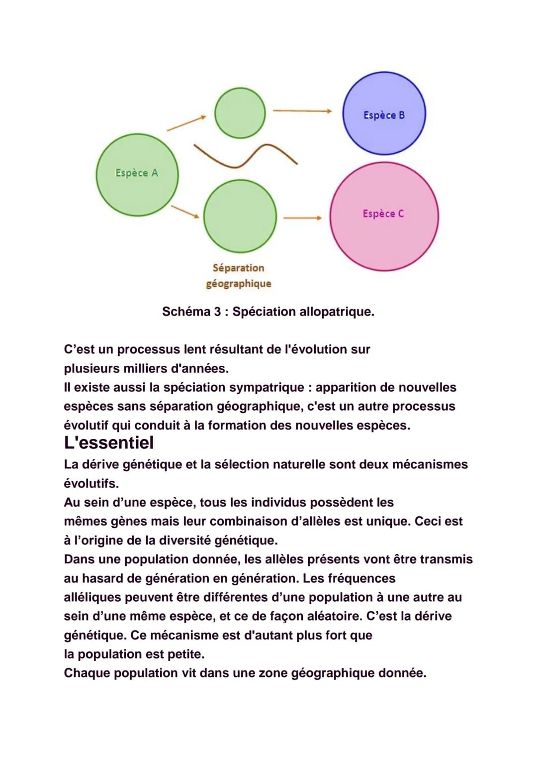 La diversité génétique
Il est facile de constater qu'il existe une
certaine diversité au sein de chaque espèce, qu'elle
soit animale ou végé