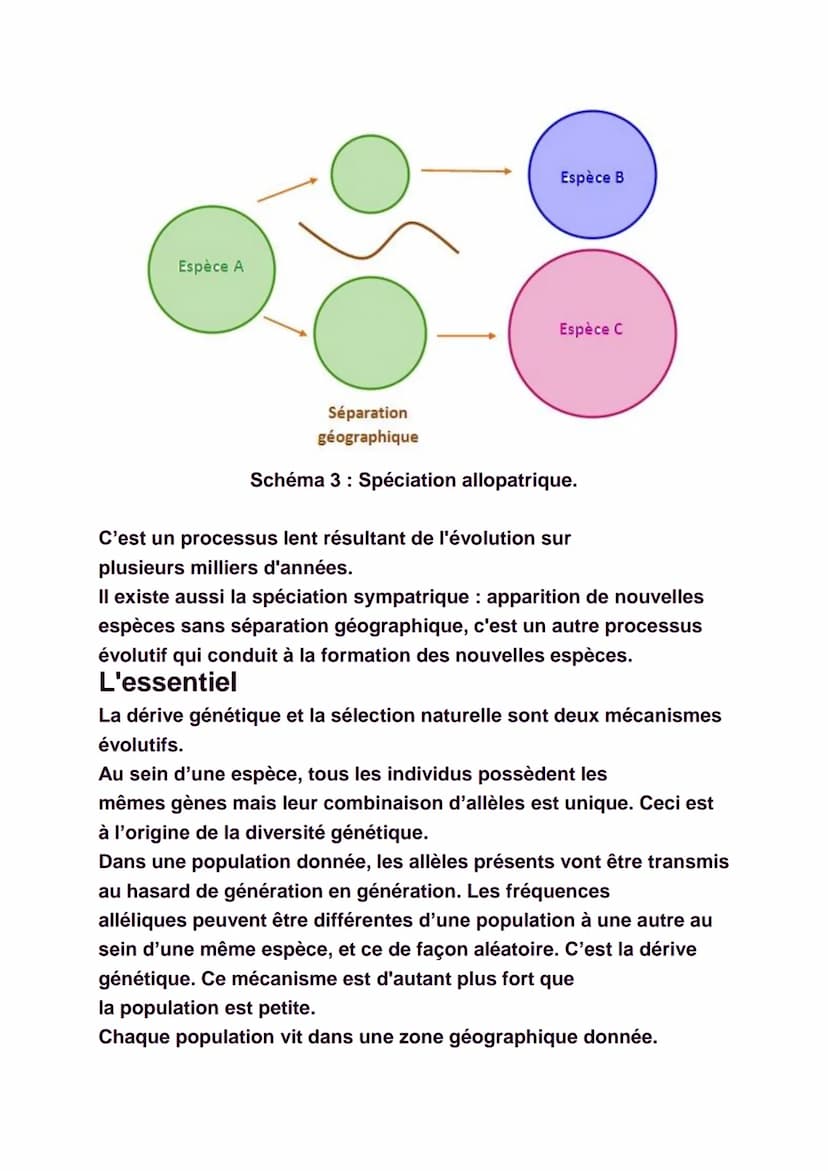 La diversité génétique
Il est facile de constater qu'il existe une
certaine diversité au sein de chaque espèce, qu'elle
soit animale ou végé