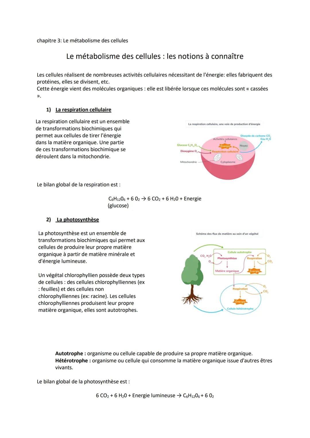 Métabolisme des cellules 