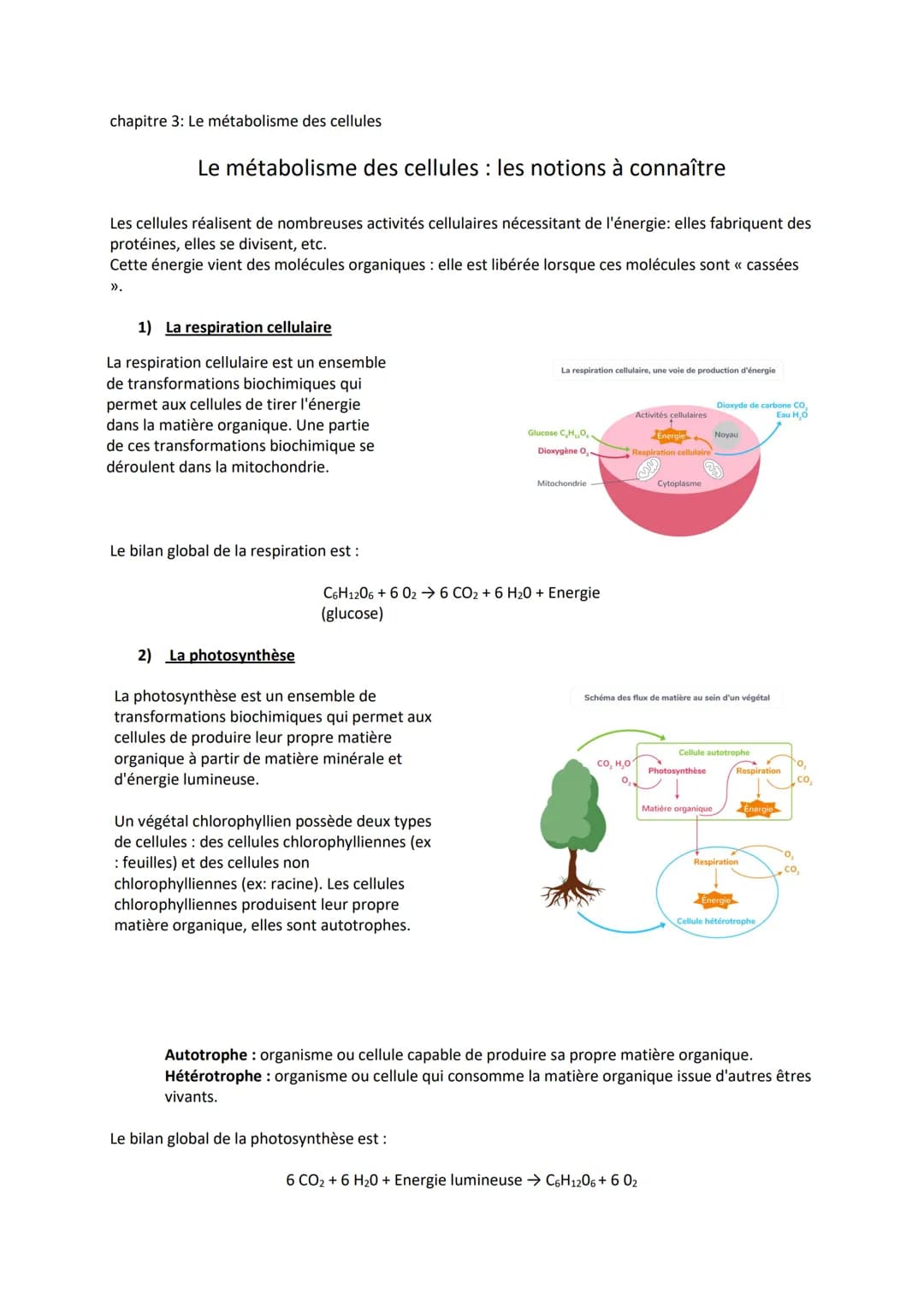 chapitre 3: Le métabolisme des cellules
Le métabolisme des cellules : les notions à connaître
Les cellules réalisent de nombreuses activités