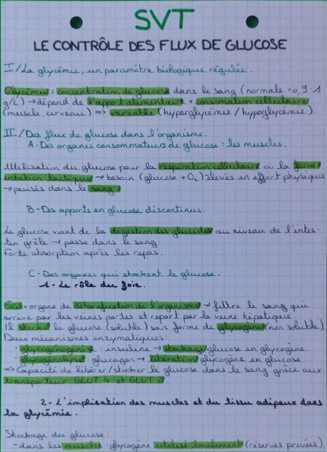 # SVT

# LE CONTRÔLE DES FLUX DE GLUCOSE

I/ La glycémie, un paramètre biologique régulée.

Glycémie = concentration de glucose dans le sang