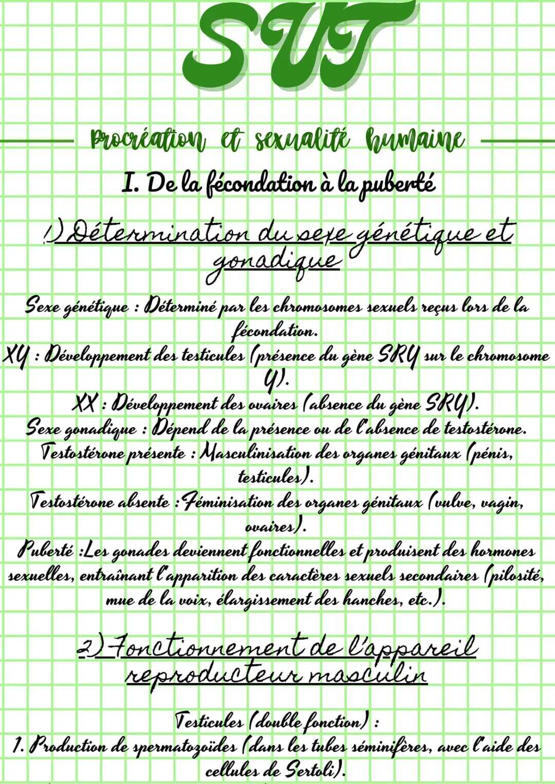---
SUT
Procréation et sexualité humaine
I. De la fécondation à la puberté
1) Détermination du sexe génétique et
gonadique
Sexe génétique : 