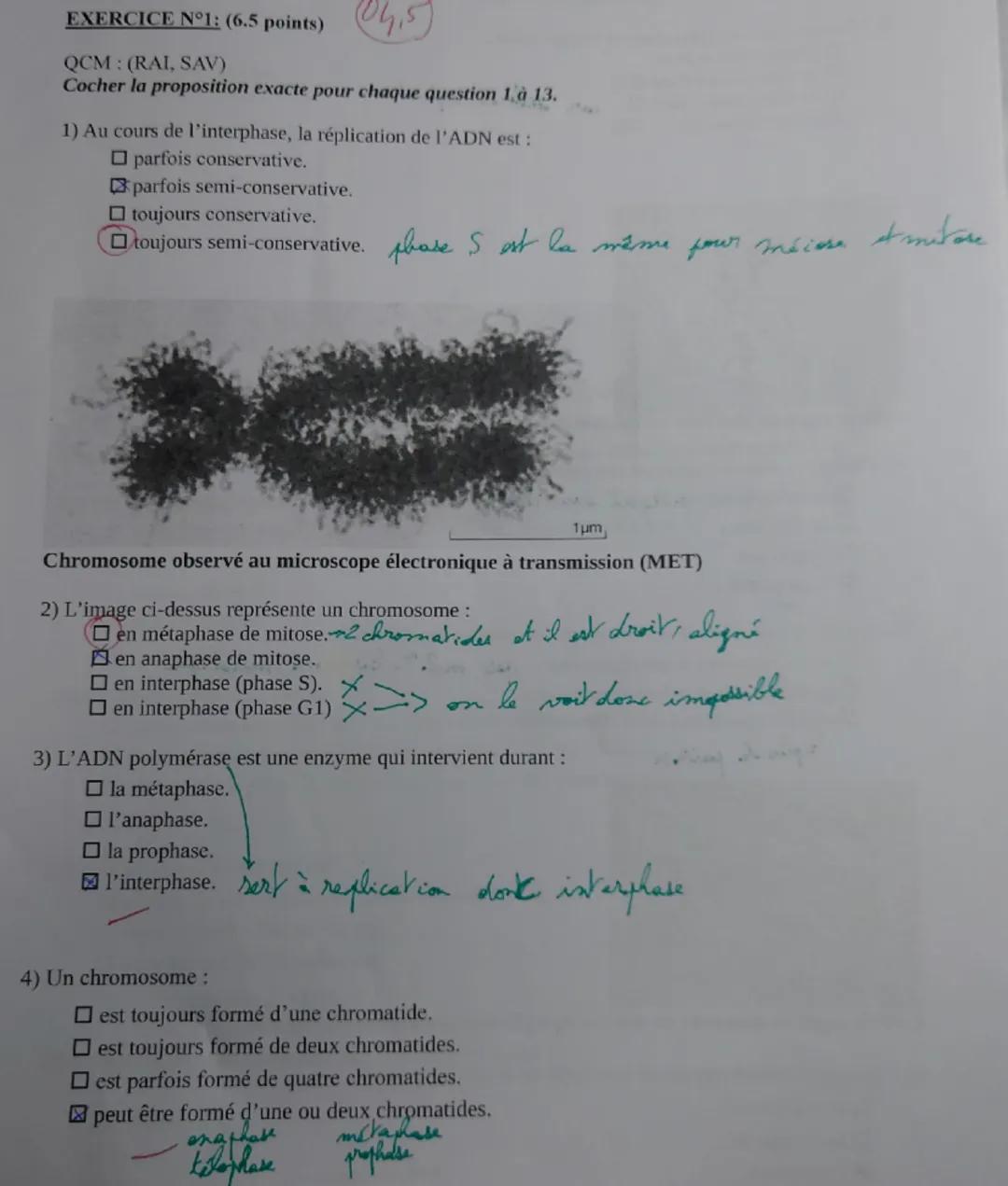 EXERCICE N°1: (6.5 points) 5
QCM: (RAI, SAV)
Cocher la proposition exacte pour chaque question 1 à 13.
1) Au cours de l'interphase, la répli