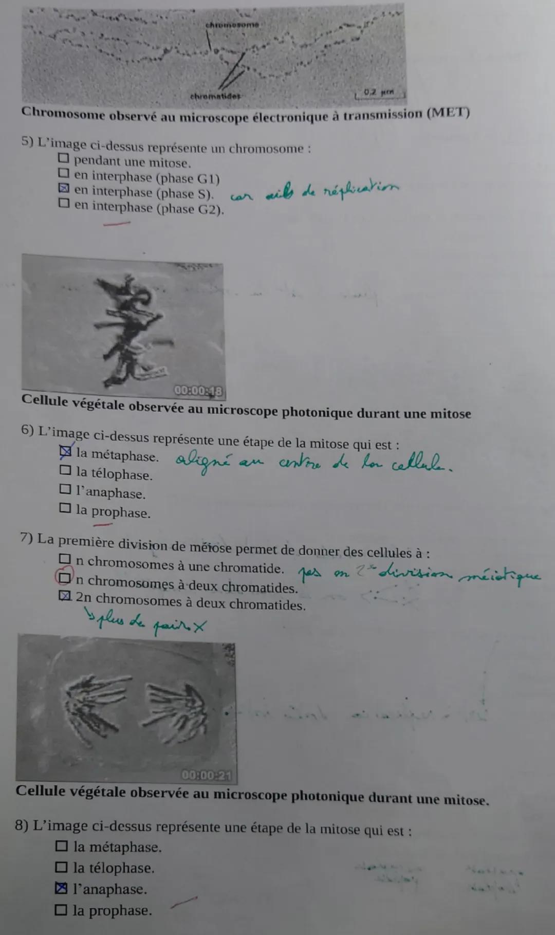 EXERCICE N°1: (6.5 points) 5
QCM: (RAI, SAV)
Cocher la proposition exacte pour chaque question 1 à 13.
1) Au cours de l'interphase, la répli