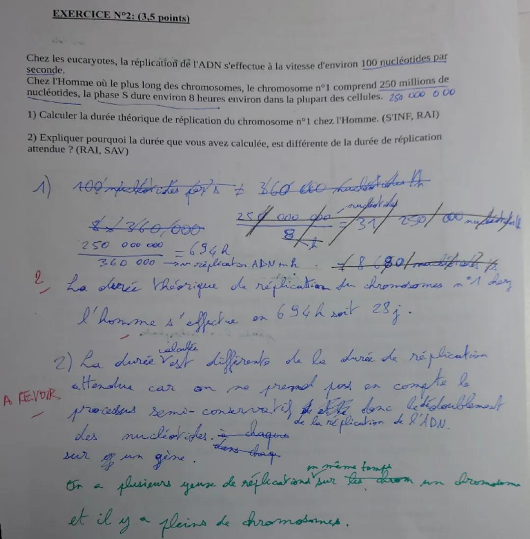 EXERCICE N°1: (6.5 points) 5
QCM: (RAI, SAV)
Cocher la proposition exacte pour chaque question 1 à 13.
1) Au cours de l'interphase, la répli
