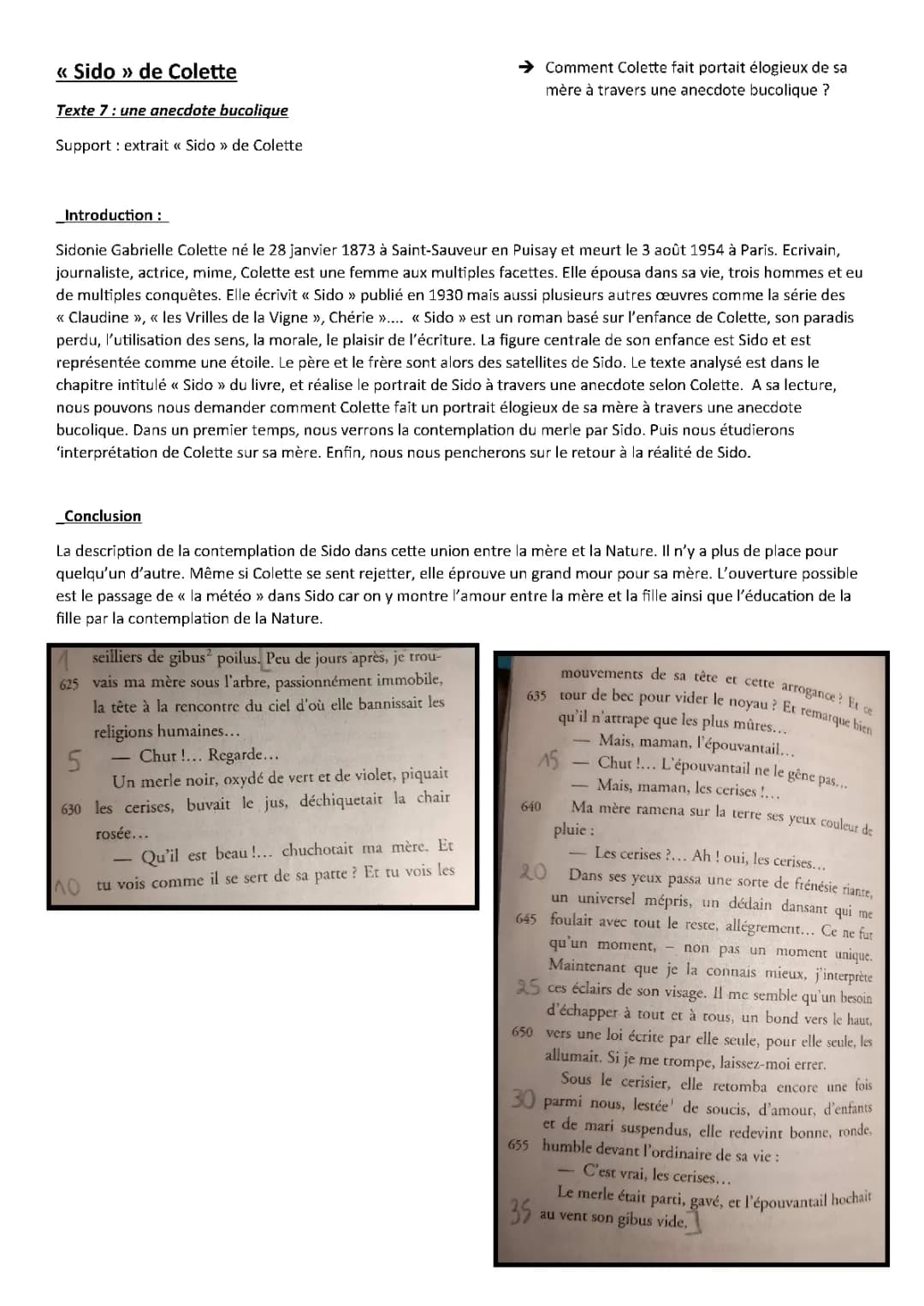 Analyse détaillée du livre 'Sido' de Colette et résumé par chapitre en PDF