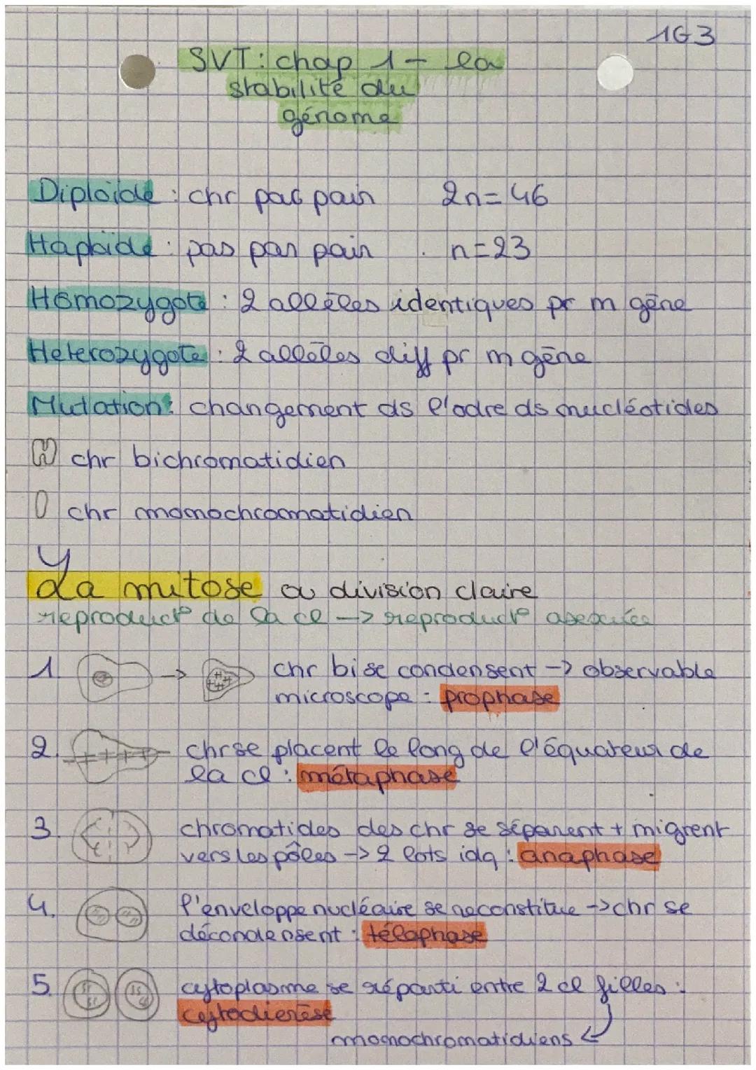 Spécialité SVT : la stabilité du génome 