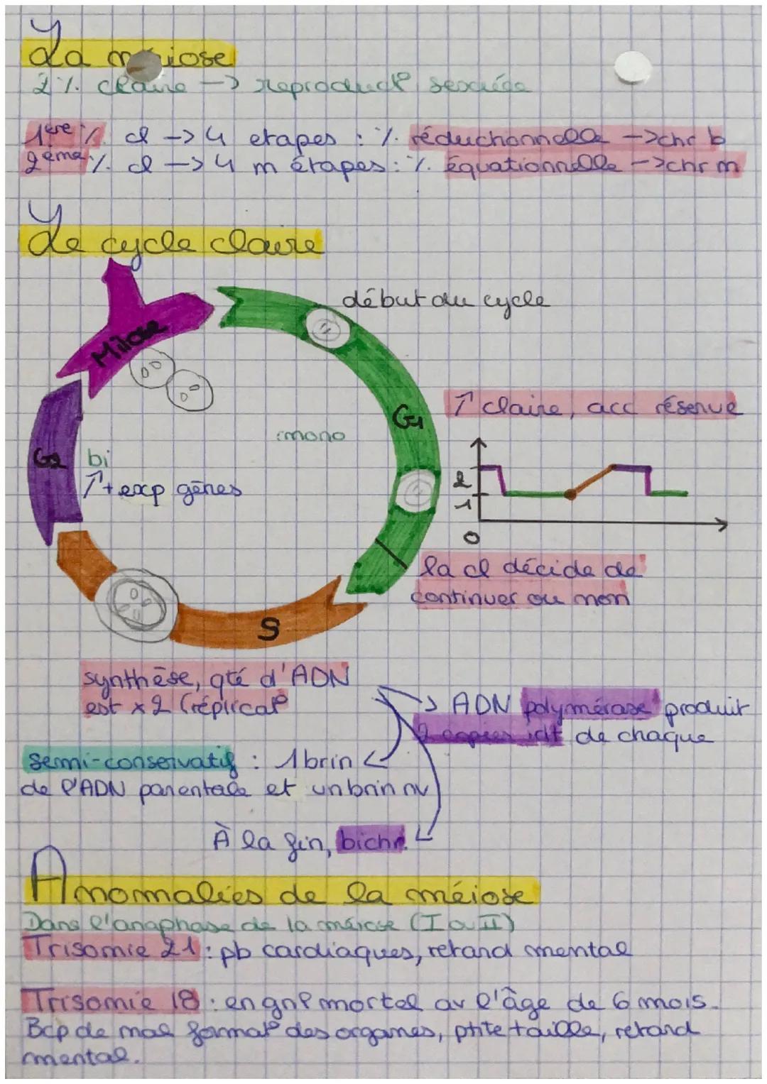 SVT: chap 1 la
stabilite du
genome
Diploide: chr par pain
Hapbide: pas par pain
2n=46
n=23
63
Homozygote 2 alleles identiques pr m gêne
Hete