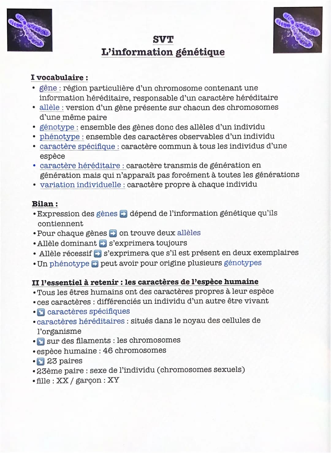 ●
I vocabulaire :
gêne : région particulière d'un chromosome contenant une
information héréditaire, responsable d'un caractère héréditaire
•