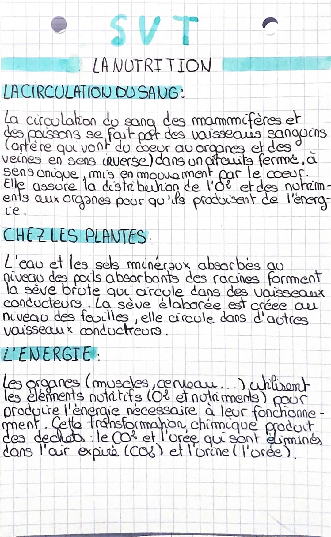 SVT
NUTRITION
LA
C
LA CIRCULATION DU SANG:
La circulation du sang des mammifères et
des poissons se fait part des vaisseaus sanguins
du coeu