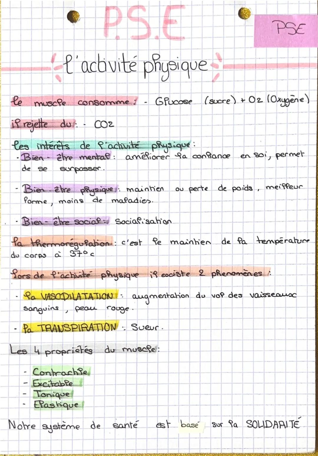 - • P.S.E
- l'activité physique
- PSE
- le muscle consomme: - Glucose (sucre) + O2 (Oxygène)
- if rejette du: - CO2
- les intérêts de P'acti
