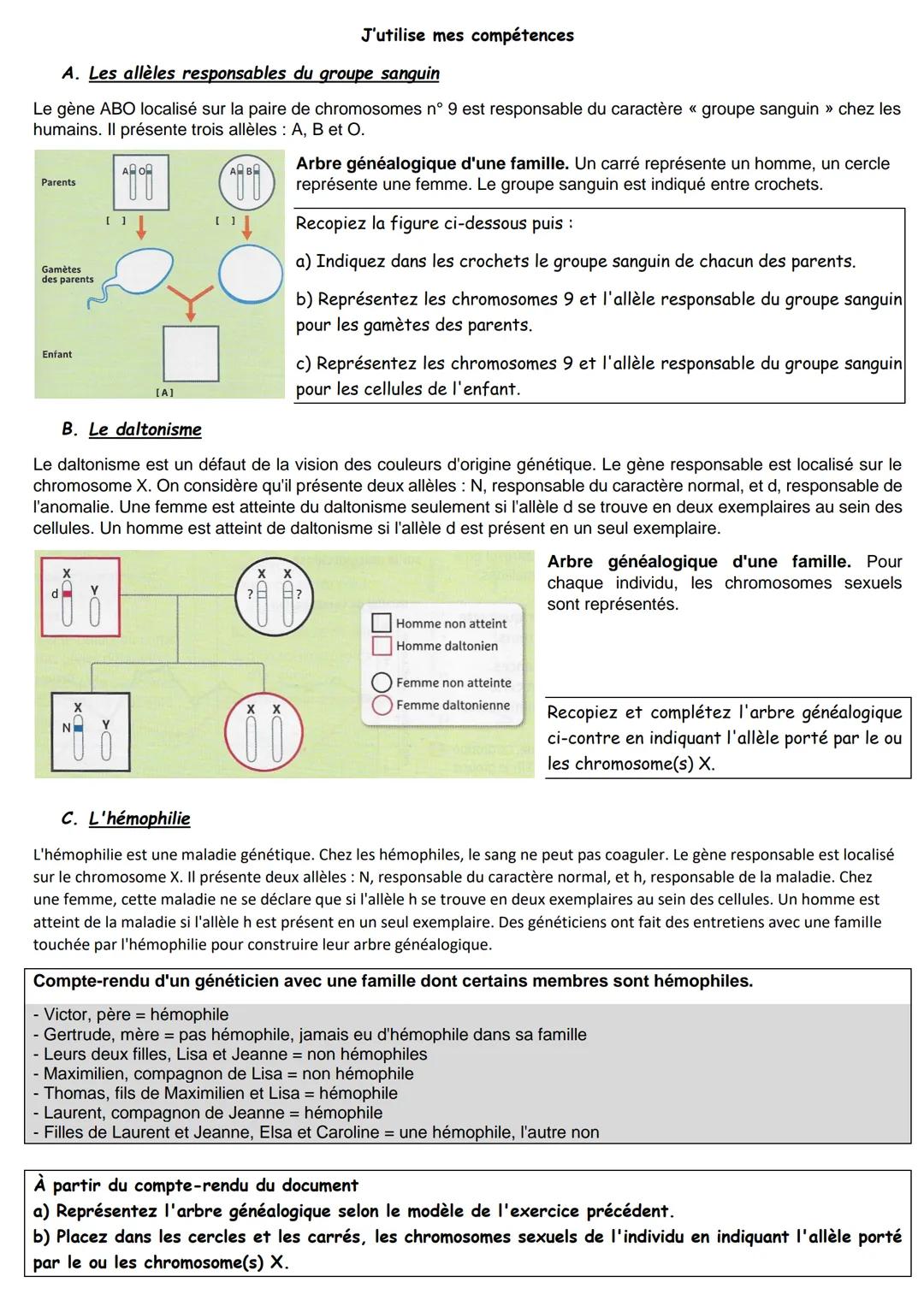 A. Les allèles responsables du groupe sanguin
Le gène ABO localisé sur la paire de chromosomes nº 9 est responsable du caractère « groupe sa